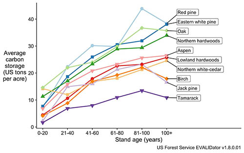 Graph shows how the carbon storage capacity of trees, by species, progresses as they mature. In order of most carbon storage to least: red pine, eastern white pine, oak, northern hardwoods, aspen, lowland hardwoods, northern white-cedar, birch, jack pine, tamarack.