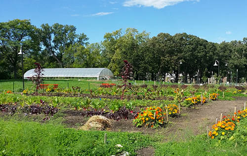 Frogtown Farm, at 5.5 acres, is one of the largest certified organic urban farms in the nation. (Photo courtesy Frogtown Farm)