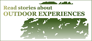 Submit historical information to the timeline