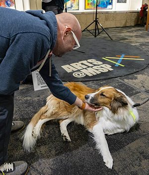Man bends over to pet a dog at MSP airport.